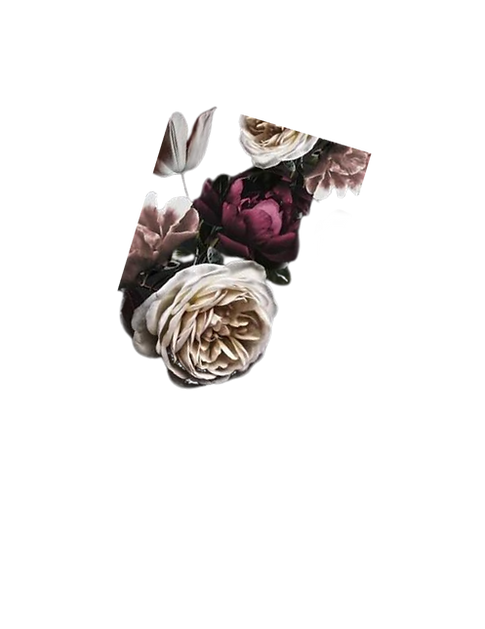 Jewel Thief (3) copy_edited.png